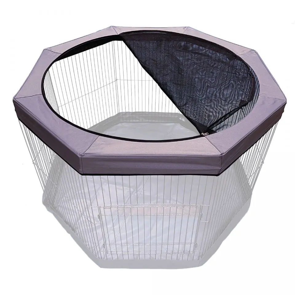 cover play pen 2.webp