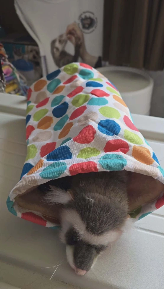 tunnel moelleux qui craque